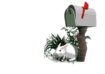ahbunnymail